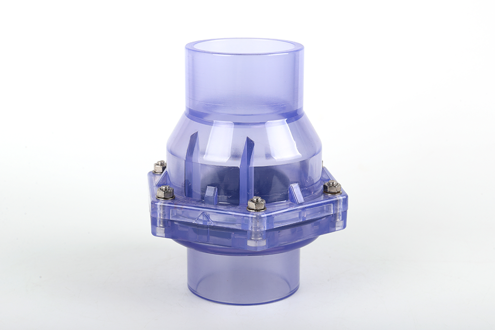 红毛镇透明翻板式止回阀